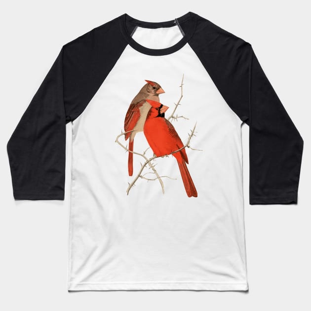 Vintage Cardinals Illustration Baseball T-Shirt by Naves